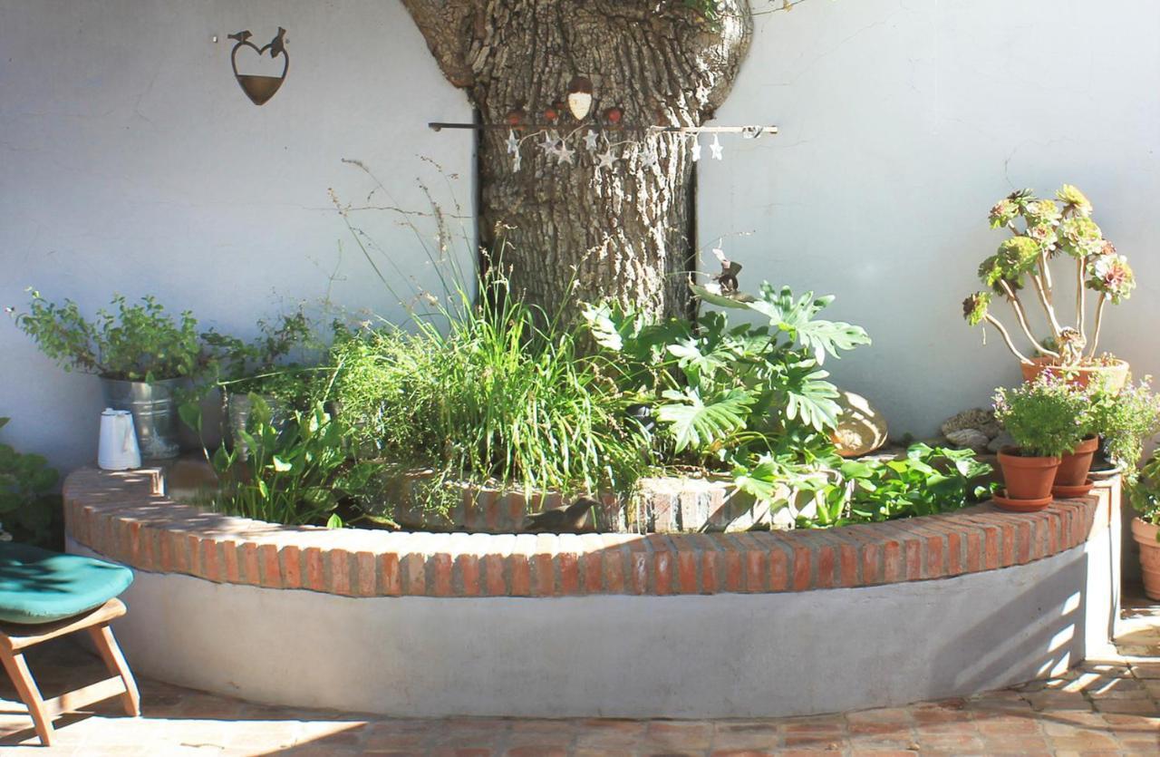 Himmelblau Boutique Bed And Breakfast Κέιπ Τάουν Εξωτερικό φωτογραφία